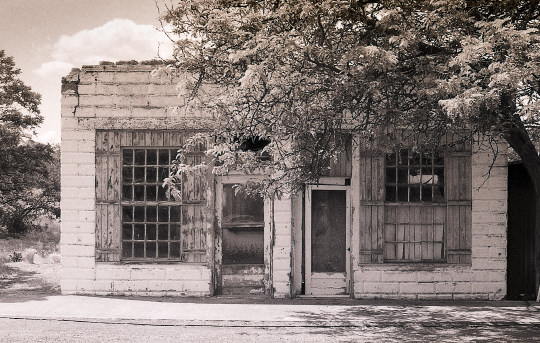 Weathered storefront beneath a leafy tree